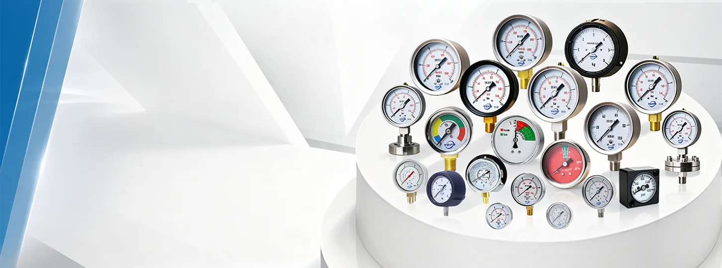 20+ Years of Expertise in Pressure & Temperature Instruments