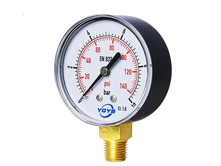 Bourdon Gauge