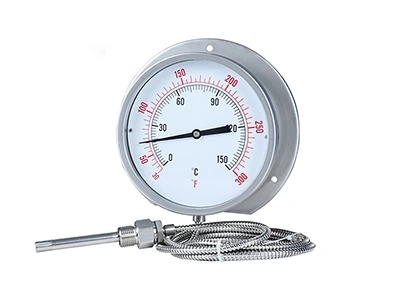 Capillary Thermometers