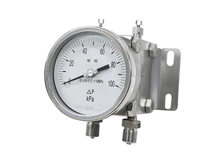 261B Double Diaphragm Differential Pressure Gauge