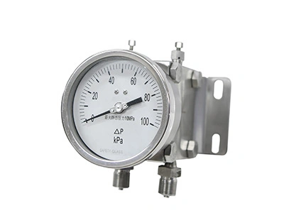 261B Double Diaphragm Differential Pressure Gauge