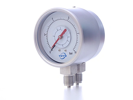Differential Pressure Gauge (Stainless Steel Process Connection)