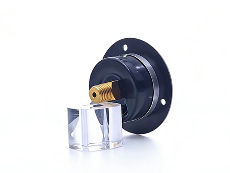 General-Purpose Pressure Gauge